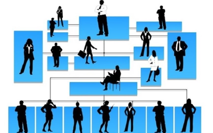 The Political Test of a Proposed New Organizational Model